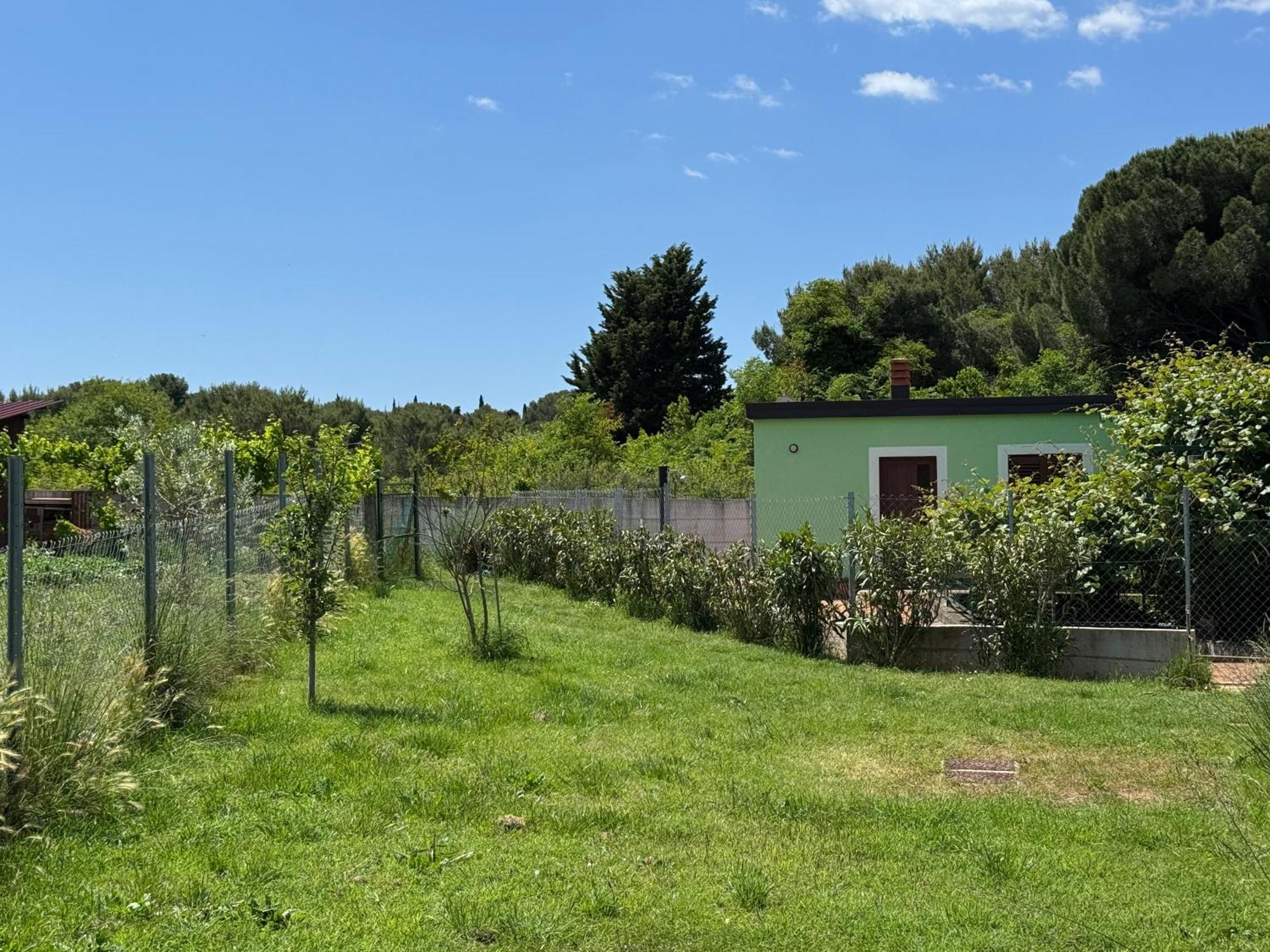 Villa Pinija Fažana Eksteriør billede
